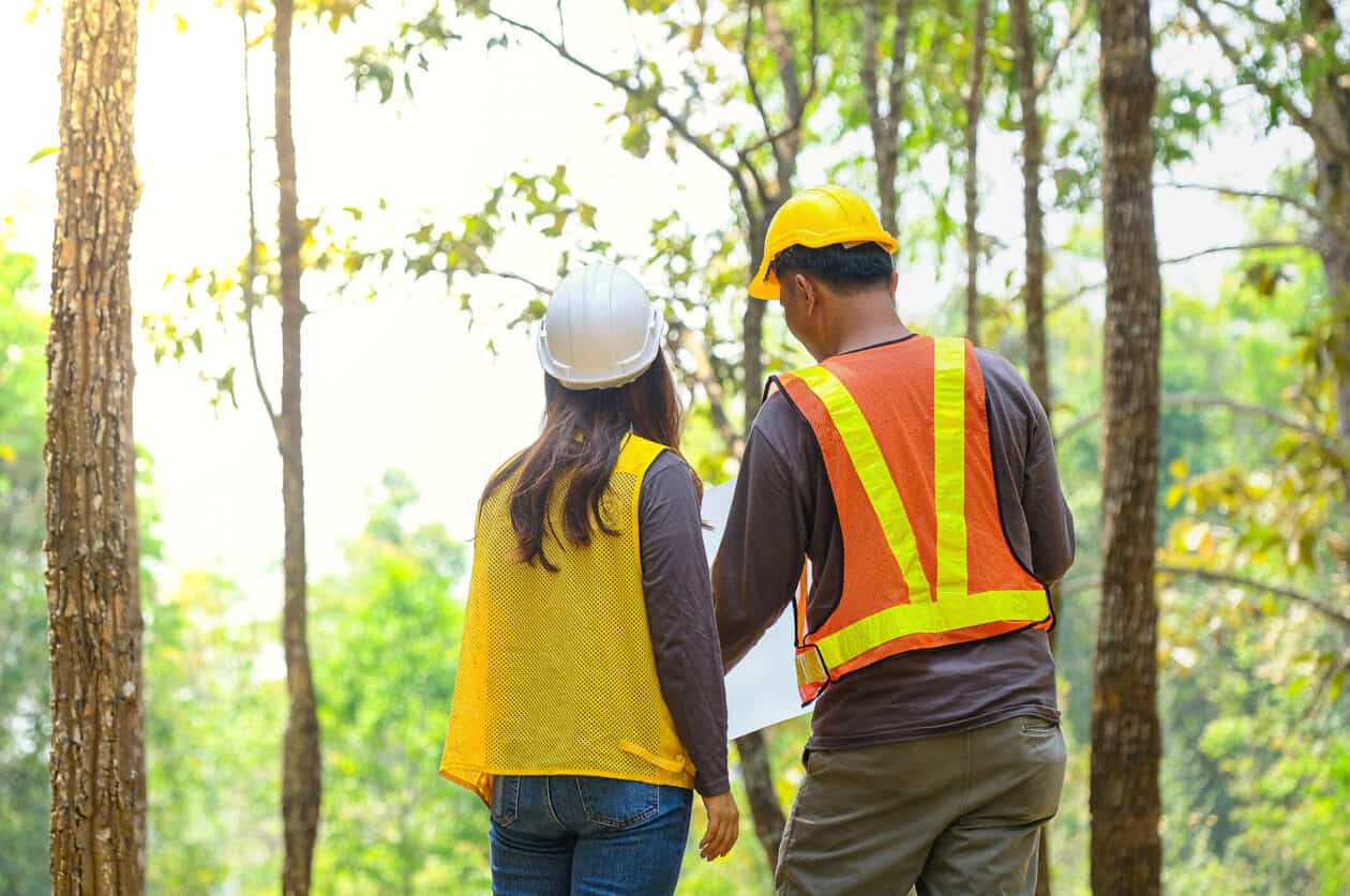 Asian engineers, men and women exploring the forest